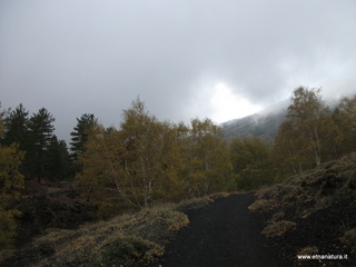 nti Sartorius-01-11-2012 12-17-35